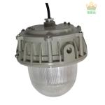 50-100W Explosion Protected LED Light Fixture With Meanwell Driver For Outdoor