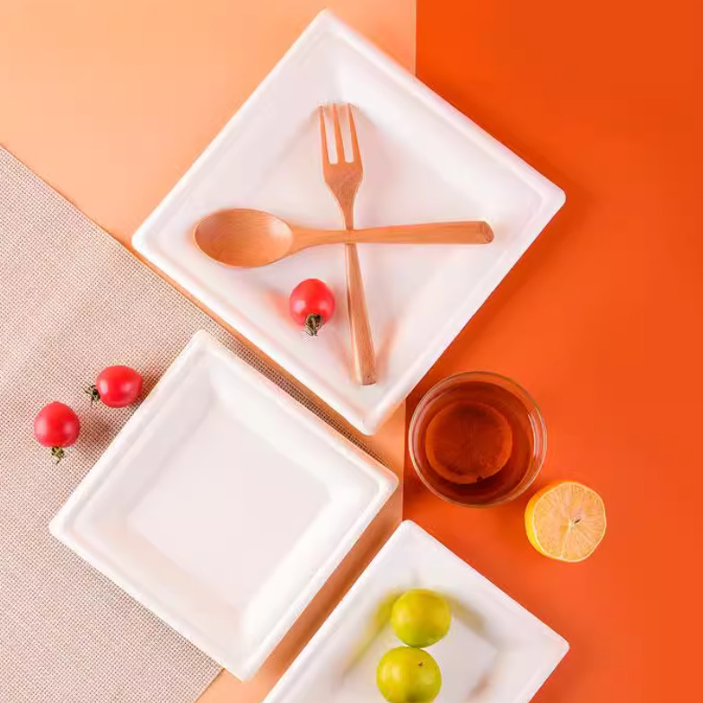 6 Inch Disposable Bagasse Compostable Square Paper Plates Large Square Dinner Plates Biodegradable