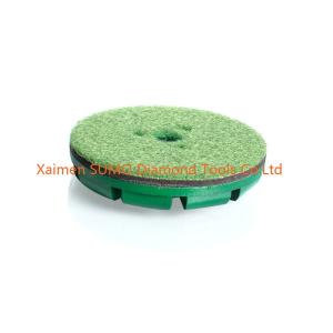 Wholesale Velcro Backed Concert Grinding Disc 10 Beveled Edge Segments from china suppliers