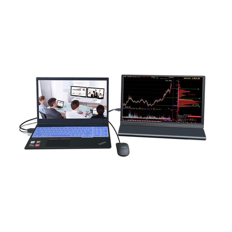 1080p Ultra Thin Narrow Bezel Frame 250cd/m2 HDR Portable Monitor