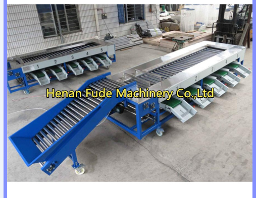 Mango sorting machine