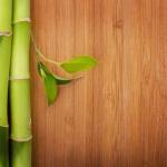 Natural Beauty Bamboo Floor Tiles 100% Bamboo Flooring For Interiors