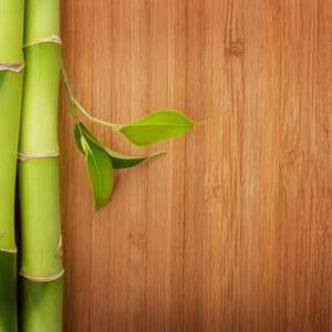 Wholesale Carbonized Wood Timber Flooring Standard Bamboo Wall Panel Solid Bamboo Flooring from china suppliers