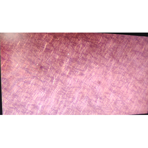 MX4R Ergonomic Metallographic Microscope with chromatic aberration correction optical system