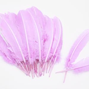 Wholesale Party Decoration Colored Turkey Feathers Event Supplies 10-12 inch from china suppliers