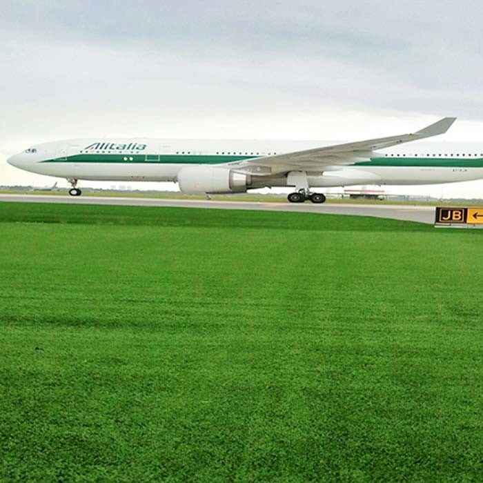 Straight Plus Curved Non Infill Artificial Turf 43mm Low Maintenance Wear Resistant High Permeablity