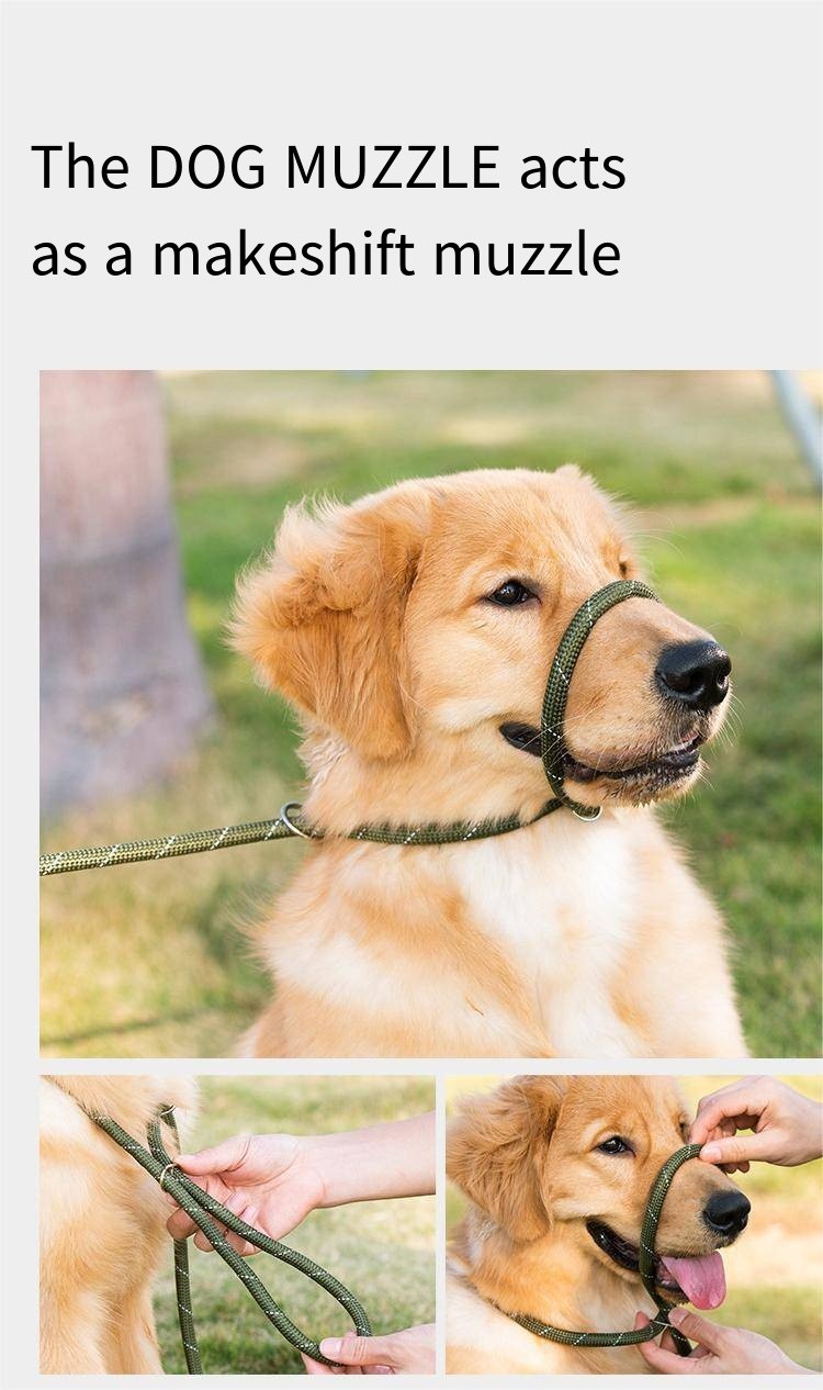 Mesh Dog Leash Training Dog P Chain Flush Adjustable Dog Leash