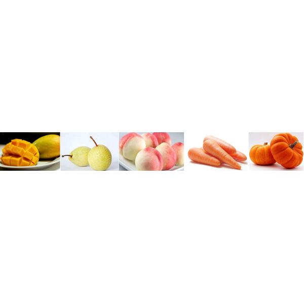 Fruit Paste Jelly Making Machine, Industrial Fruit Vegetable Pitting Beater Machine
