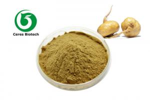 Wholesale Macamides Maca Root Extract Powder For Men