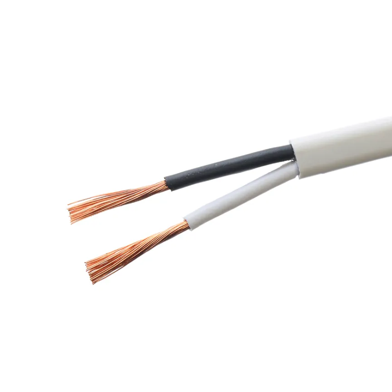 Electric Material Multicore Cable Hd3vvh2 f with 2 Cores Copper Conductor Electrical Wires 0.5mm2 0.75mm2 Sq