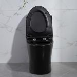 Siphon Dual Flush Valve Bathrooms Toilets Matte Black Csa Toilet With 10.5 Rough
