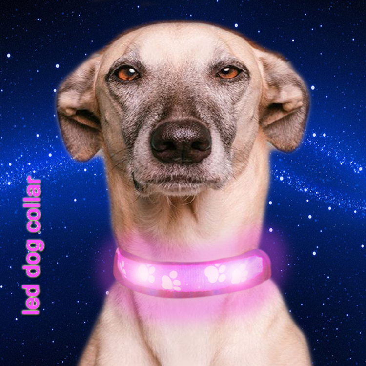 C903 Hot Sale Durable Nature Material Rechargeable LED Dog Adjustable Flashing Collars With Buckle