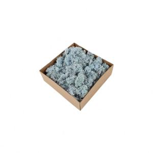 Wholesale Stabilized Valentine Gift Preserved Natural Moss In Box from china suppliers