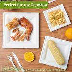 Rectangular Disposable Serving Plates 100% Natural Sugarcane Bagasse Fiber