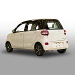 Right Hand Drive Hatchback Electric Cars Automatic RHD 115V Battery