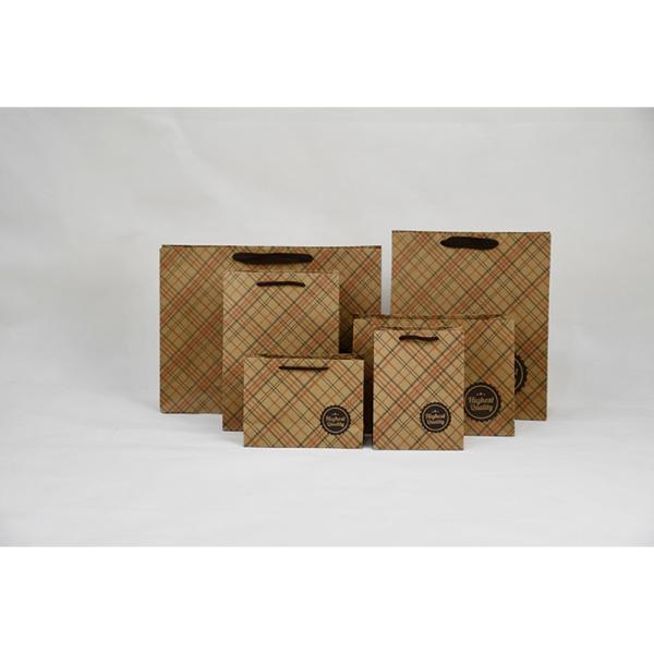 Customization Simple Twisted Handle Paper Bags For Clothing Store