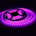 RGB ruban led Light Ribbon Waterproof 5050 DC12V flexible light 300 leds 5m/roll