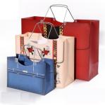 Coated 300gsm Cardboard Gift Bags Eco Friendly With Stainless Steel Handle