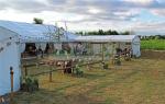 200 Guests Outdoor Party Tent White PVC Roof Clear Windows For Garden Stable