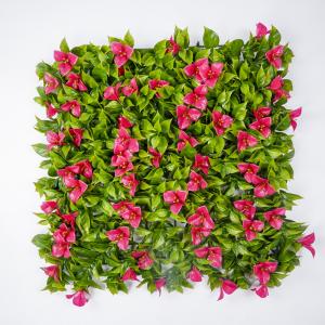 Wholesale Plastic Ivy Leaf Artificial Green Walls Panels 50*50CM Outdoor Faux Boxwood from china suppliers