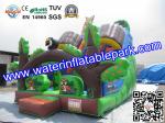 Custom Animal Inflatable Slide / Inflatable Dry Slide with Fire Resistant