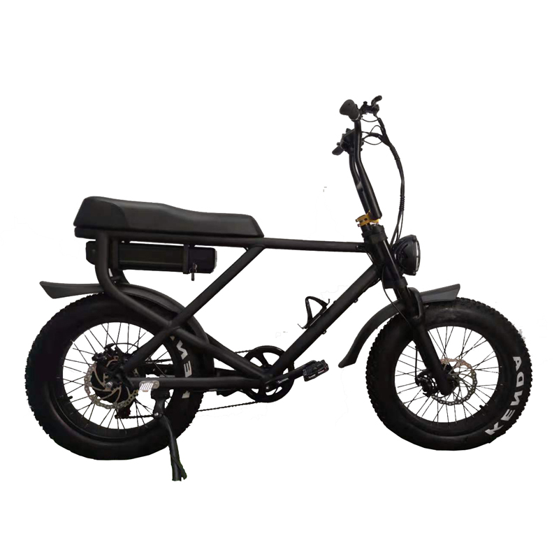 20 Inch Electric Fat Tyre Bike for Adult Customized Vintage E Dirt Bike Beach Bikes Cruisers