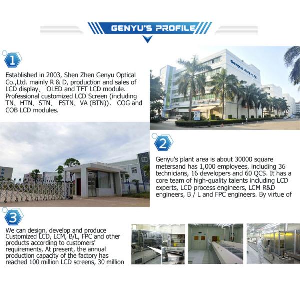 HTN Custom E-bike LCD Display Monochrome 46 Pin Transflective 7 Segment LCD Screen with 6 O'clock Viewing Angle