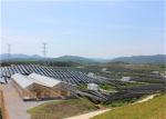 Indoor Greenhouse Solar System Farming Innovative Dynamic Photovoltaic Frameless
