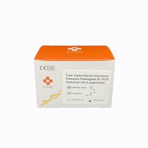 Wholesale Multiple TaqMan Lyme Disease Insect Borne Disease Test Borrelia Burgdorferi Virus from china suppliers