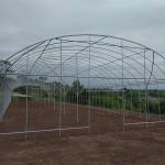 PE Tunnel Single Span Greenhouse Hot Galvanized Steel Transparent Color