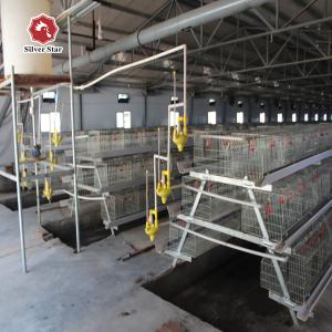 Galvanized Baby Chick Wire Bird Breeding Cages Automatic Farming