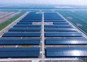 Wholesale A Grade 290W 295W Polycrystalline PV Module For Commercial from china suppliers