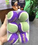 Automatic Interacting Toys Dog Tennis Ball Thrower Pet Play Training for Indoor