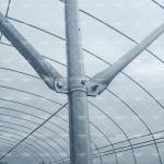 10x50m Polytunnel Berry Poly High Tunnel Greenhouse Film Tunnel Greenhouse Kit