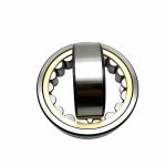 N/NU/NJ/NF1007EM Cylindrical Roller Bearing 35*62*14mm for Machinery Repair