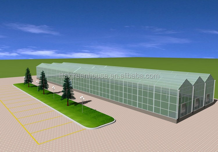 Smart Controlled Safe Glass Greenhouse for Vegetable Fruits Flowers Top Height 4.8m-6.8m