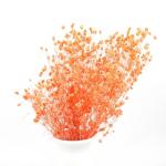 Colorful Dried Baby'S Breath Bouquet , Preserved Baby'S Breath For Gift