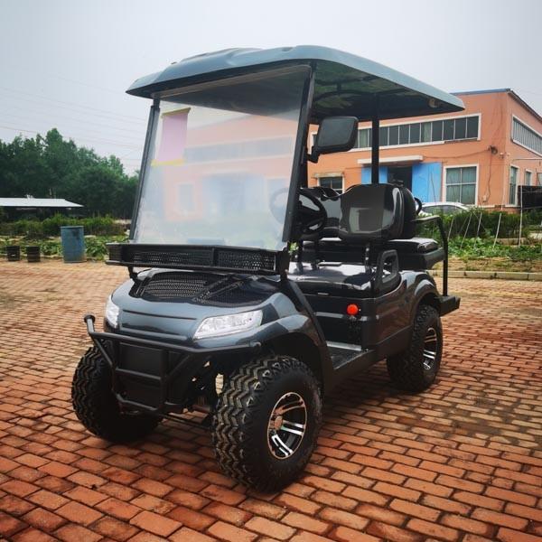 Four Passenger Customized Golf Cart Electric Conversion Kit For Classic Sport