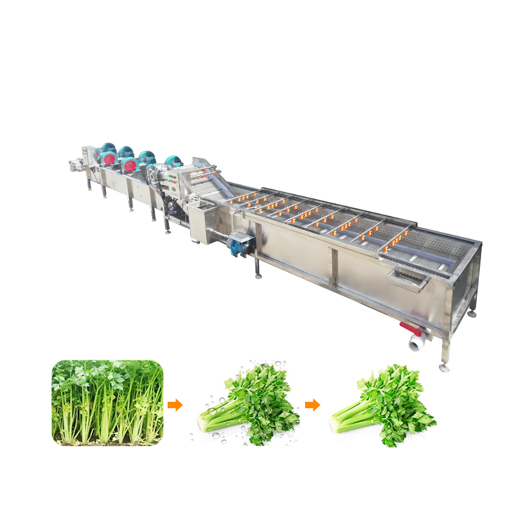 fruit and vegetable washing and drying machine
