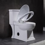 Luxury Bathrooms Toilets Floor Mounted Wc Watersense Certified Toilets
