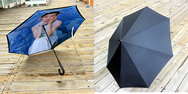 Portable Upside Down Reverse Umbrella 110cm With Artwork Pattern