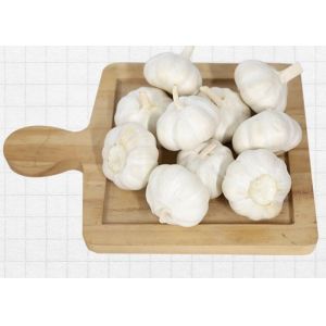 Wholesale 10kg Carton 6.5cm Chinese White Garlic from china suppliers