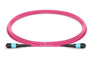 Wholesale Purple Om4 Purple Mpo Mtp To Lc Fiber Optic Patch Cables Fanout 12 Cores from china suppliers