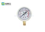 Stainless Steel Center Pivot Irrigation Parts Seismic Hydraulic Pressure Gauge