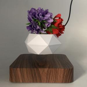 Wholesale new factory wholesale magnetic levitation air bonsai pot tree planters from china suppliers
