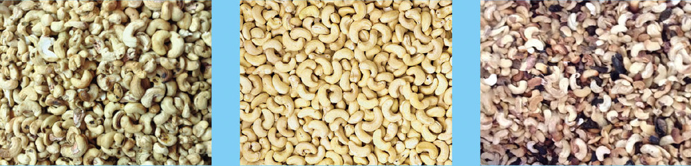 High Resolution Peanut Sorting Machine Cashew Nut Color Sorter 220V 50HZ