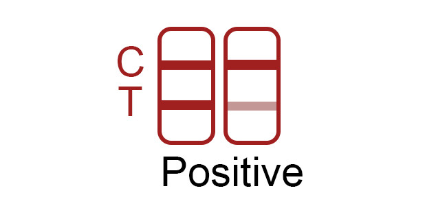 99.68% Accuracy SARS-CoV-2 Antigen Self Test Kit 25 Tests/Kit CE For Nasal Swab