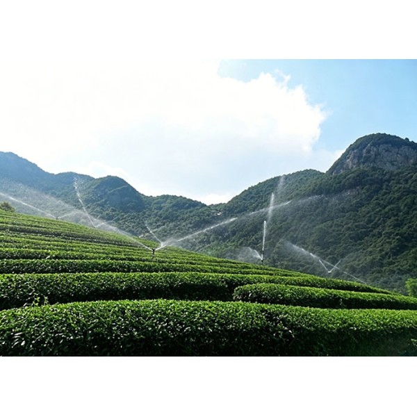 360° Adjustable Brass Impact Sprinkler System | Large Flow Anti-Clog For Farm & Mining