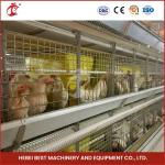 Automatic H Type Meat Broiler Chicken Cage 84 Birds Poultry Farm Equipment Mia