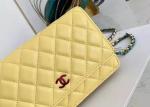 Inclined Shoulder Cowhide 19cm Luxury Brand Wallet With Chain